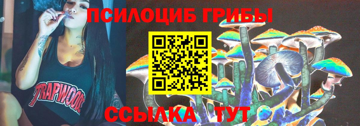 Псилоцибиновые грибы Magic Shrooms Сухой Лог